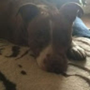 Meet your Posher, Kylie